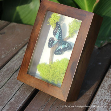 Good quality 3D Deep solid wood display shadow box for plant insects butterfly specimens frame